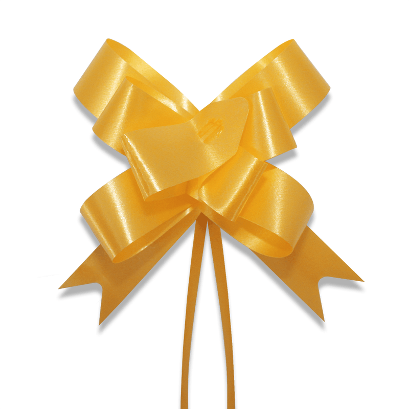 Laco-Facil-Liso-17mm-x-34cm-Pacote-com-200-unidades---ED1761-Amarelo