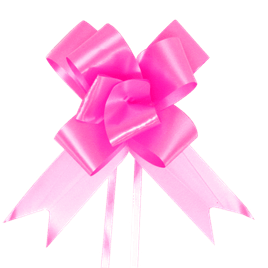 Kit 100 peças Laço Fácil Liso Pronto Tamanho 30mmx46cm