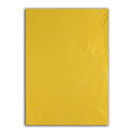 Saco de presentes Laminados Liso Packpel 25x37 cm - 50 un