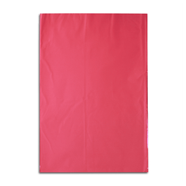 Saco de presentes Laminados Liso Packpel 25x37 cm - 50 un