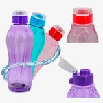garrafas-650-ml-capa-cores-jpeg