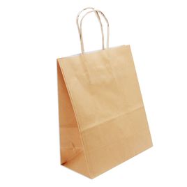 Kit 10 unidades Sacola de Papel para Presente  21x17x8cm