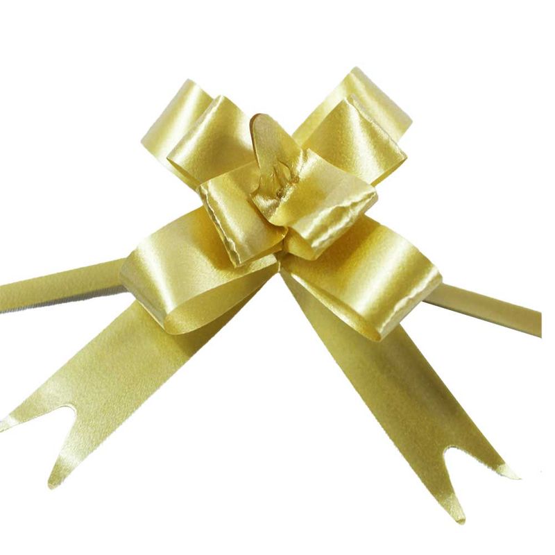 laco-facil-liso-12mmx24cm---jpeg--6-