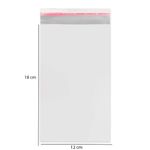 Saco-Plastico-Adesivado-Sem-Solapa-12x18-cm-100-unidades--2-