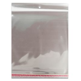 100 unidades Saco Plástico Adesivado com Solapa 25x25 cm