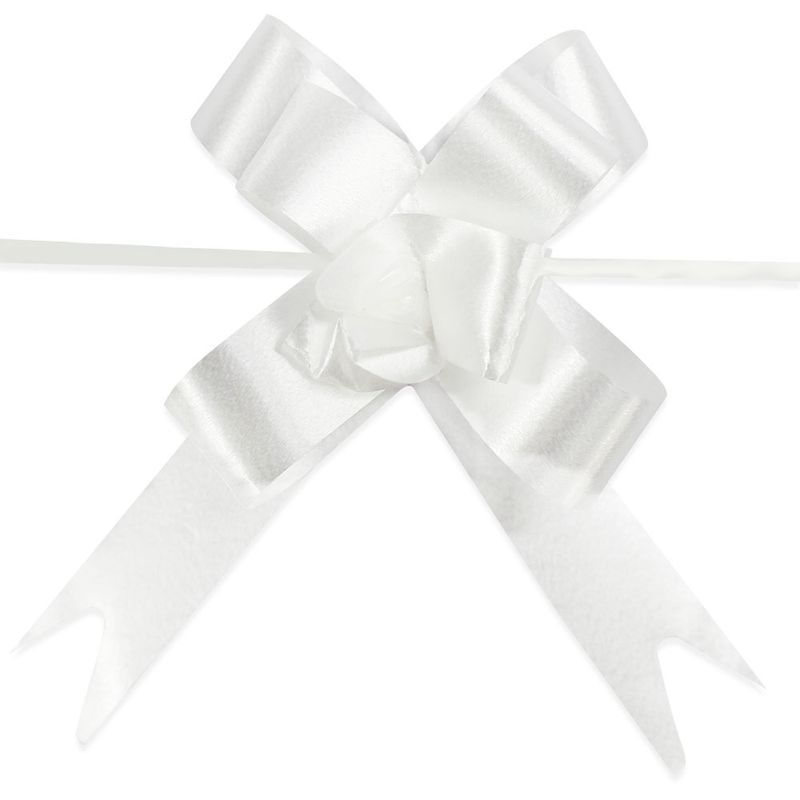 Laco-Facil-Liso-12mm-x-23cm-Pacote-com-100-lacos