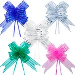 Laco-Facil-Pronto-Organza-Luxo-50x76cm-Kit-100-Un-Sortidos