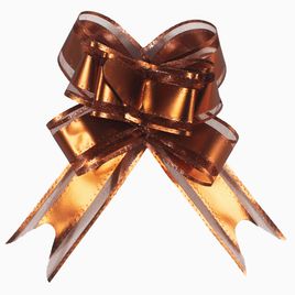 Laço Fácil de Organza com Poliester 30mmx47 cm 10 Unidades