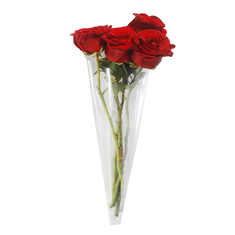 Embalagem-Cone-para-Flores-25-13x48cm-com-50-unidades-jpeg-2.jpg