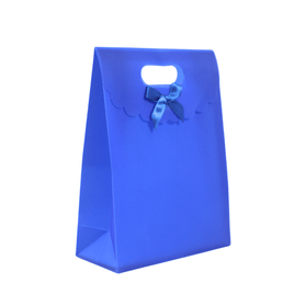 Kit 24 Sacolas com Velcro 26x19x8 cm Estilo e Praticidade