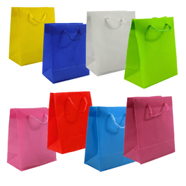 Kit 24 unidades Sacolas com Alça de Cordão 22x18x7 cm